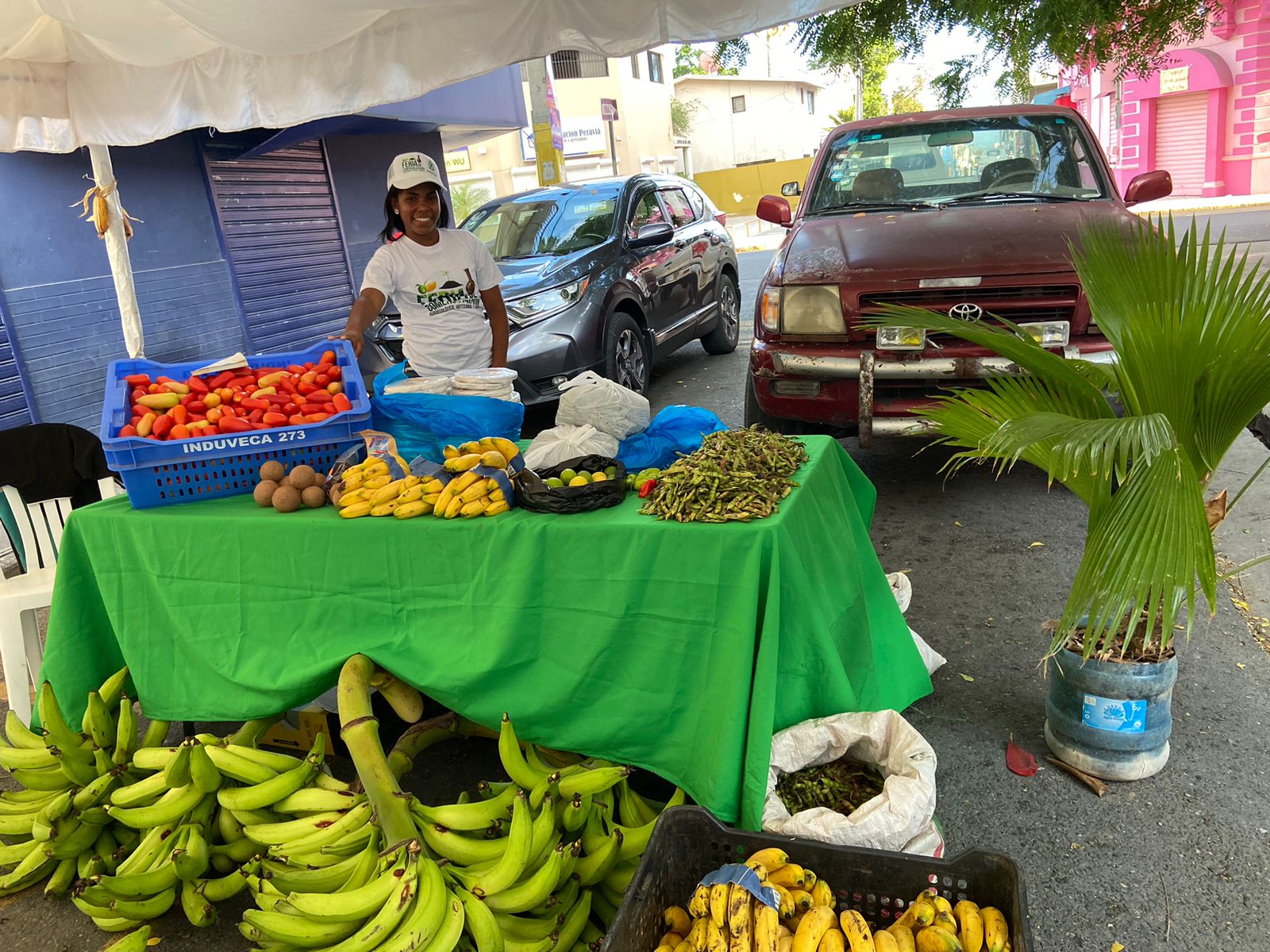 Foto venta de productos de la finca en la Feria de productores 